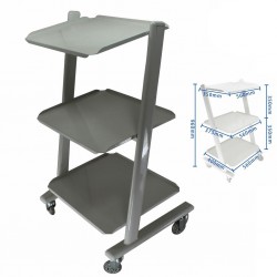 Medisch Stalen kar Trolley Doctor tandarts Trolly voor Spa Salon Dental apparatuur