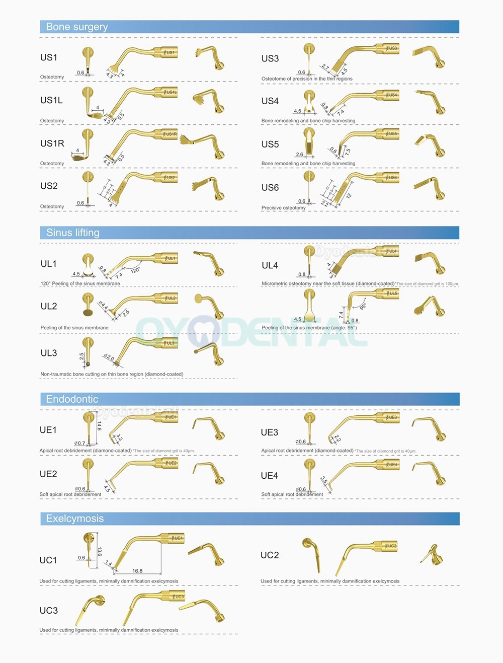 10 Stks Specht Ultrasone Scaler Tip Parodontale P1 P2L P2R P2LD P2RD P3 P3D P4 P4D