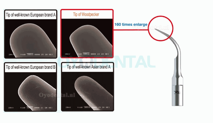 10 Stks Specht Ultrasone Scaler Tip Parodontale P1 P2L P2R P2LD P2RD P3 P3D P4 P4D