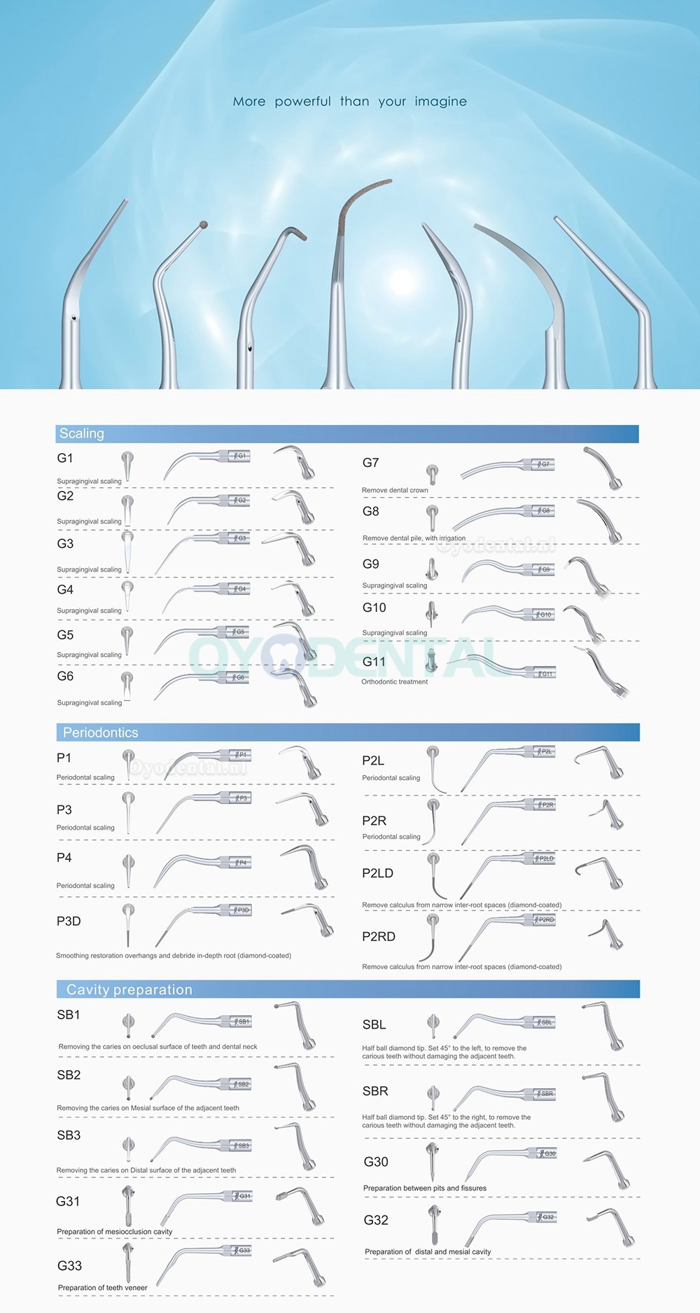 10 Stks Specht Ultrasone Scaler Tip Parodontale P1 P2L P2R P2LD P2RD P3 P3D P4 P4D