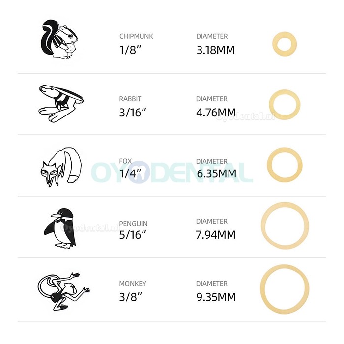 1000 stuks tandheelkundige orthodontische elastiekjes ortho-elastieken latex beugels 15 maten