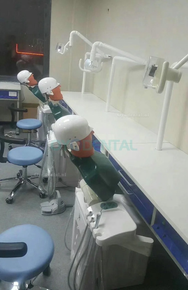 Jingle JG-A1 Fantoomkop voor tandheelkundige studenten onderwijspraktijk opleiding tandsimulatie-eenheid