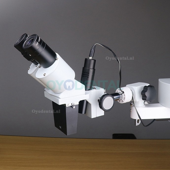 10X Dental Operatie Microscoop Endodontische Chirurgische Microscoop Tafel Bureau Gemonteerd