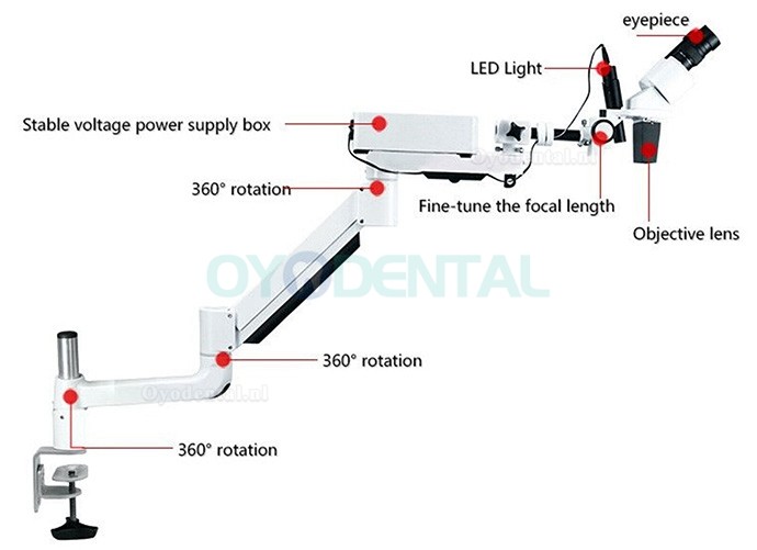 10X Dental Operatie Microscoop Endodontische Chirurgische Microscoop Tafel Bureau Gemonteerd