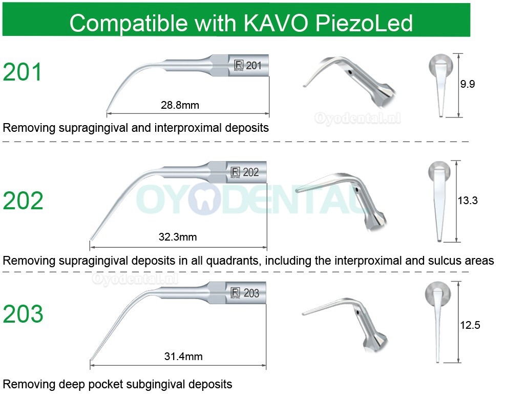 5Pcs Ultrasoon tips 201 202 203 compatibel met KAVO Piezo Led scaler handstuk