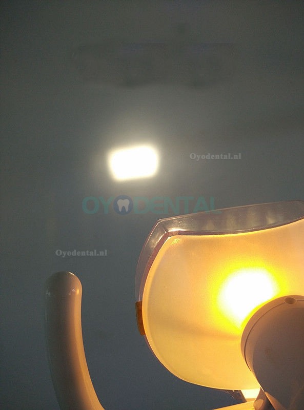 50W Dental Halogeen Schaduwloze Lamp Oraal Licht voor Tandheelkundige Stoel